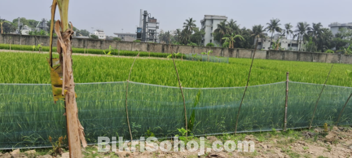 বিমানবন্দর প্রাচীরের সাথে জমি বিক্রি